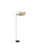 Eglo Floor Lamp H159.5xW55.5cm. Black