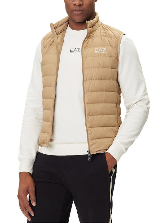 Emporio Armani Jacke Tigers Eye