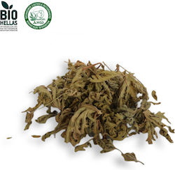 Herbstore 