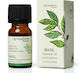 Natural Basil Essential Oil 10ml
