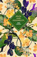 Sense And Sensibility Wer. Angielska