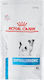 Hypoallergenic 3.5kg Dry Food Gluten-Free for Adult Small Breed Dogs with Meat and Rice