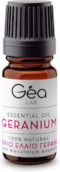 Gea Lab Αιθέριο Έλαιο Γεράνι 10ml Gea Lab Αιθέριο Έλαιο Γεράνι 10ml