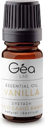 Gea Lab Αιθέριο Έλαιο Βανίλια 10ml Gea Lab Αιθέριο Έλαιο Βανίλια 10ml