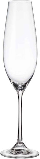 Crystal Bohemia Set de pahare de sampanie / Vin alb din Cristal Cu picior 6buc