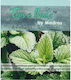 Tips & Buds Δυόσμος 10 Φακελάκια