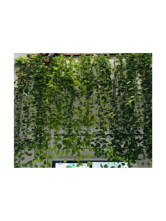 Κρεμαστοί Κήποι Τεχνητά Φυτά Πόθου 2,50μ Χ 2,50μ