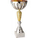Silver Trophy Sports