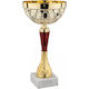 Silver Trophy Sports