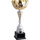 Silver Trophy Sports