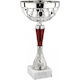 Silber Pokal Sportarten