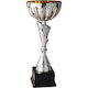 Silber Pokal Sportarten