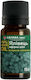 Aroma Inter Ulei Esențial Juniper 10ml