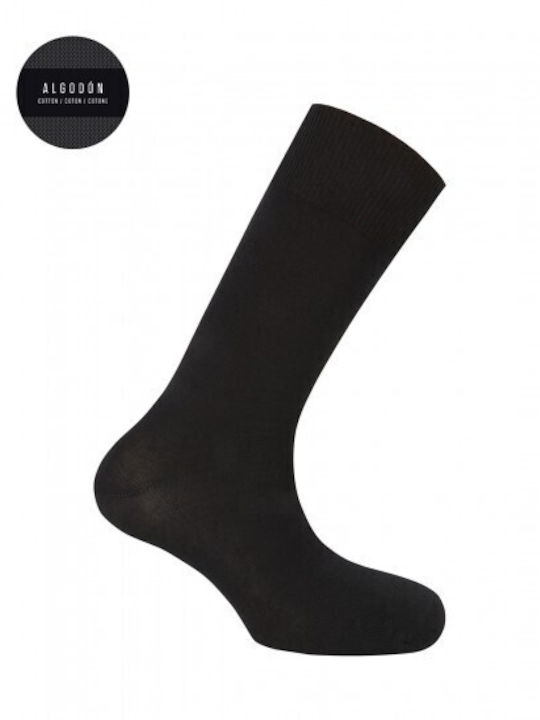 Cotton Socks Punto Blanco Black Cotton Socks Punto Blanco Black