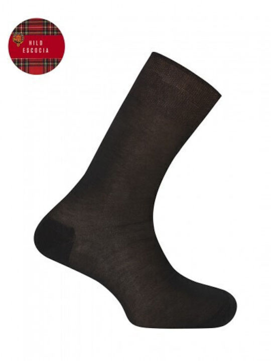 Plain Fil D'écosse Socks Punto Blanco Black Plain Fil D'écosse Socks Punto Blanco Black