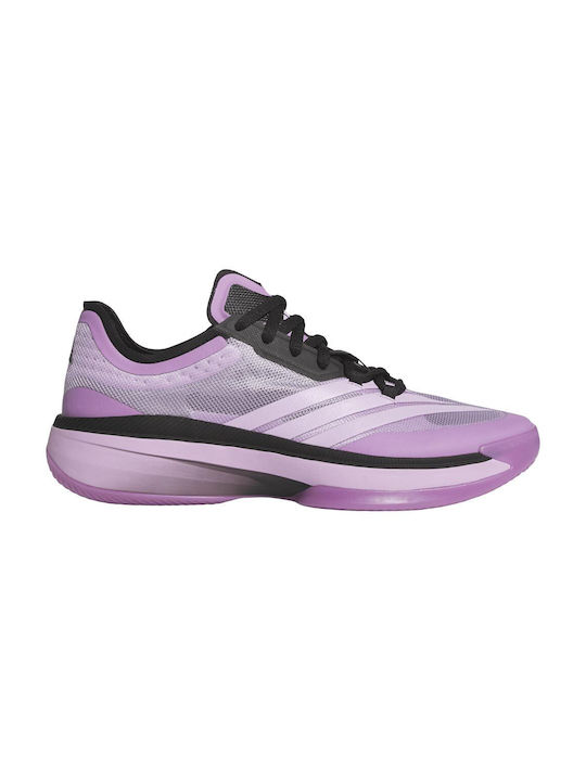 Adizero Select 3.0 Basketball Shoes Purple