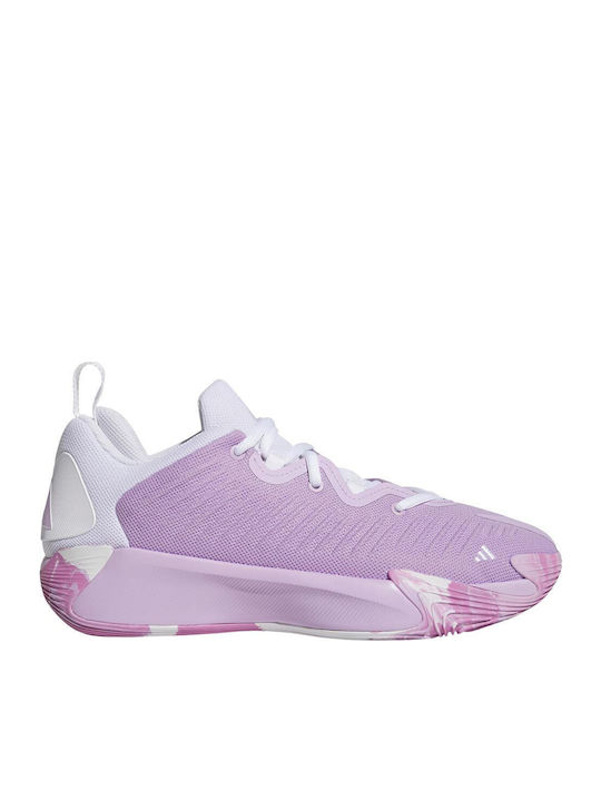 adidas Initiation Χαμηλά Μπασκετικά Παπούτσια Μωβ