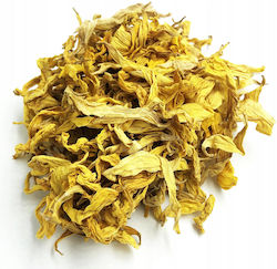 Sunflower Seeds 200 Grams 100% Natural Store Sunflower Seeds 200 Grams 100% Natural Store