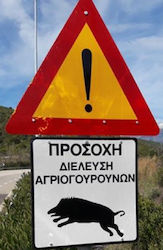 Σφυρίχτρα Υπερήχων