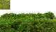 Moss Синтетичен Килим 2м X 1м 0516214
