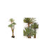 Yucca Mit Echter Textur 3 Spitzen Basis 260cm