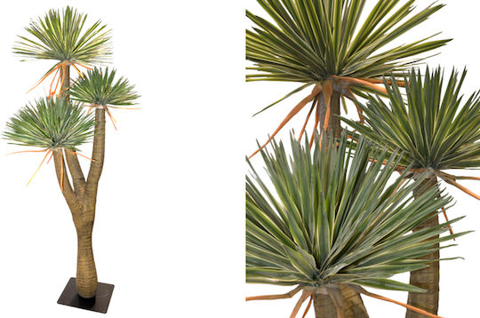 Yucca Cu Textură Reală 3 Vârfuri Bază 260cm 0516213