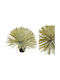 Yucca With Real Texture Potted Plant 58cm 0516207