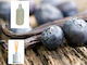 Άρωμα Vanilla Blueberry Αναγόμωση Reed Diffusser 200ml