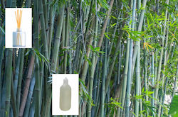 Άρωμα Bamboo Αναγόμωση Reed Diffusser 200ml Άρωμα Bamboo Αναγόμωση Reed Diffusser 200ml