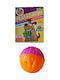 Sum Plast Training Toy Dog 1pcs