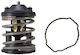 Thermostat Coolant Mahle Tx 163 87d