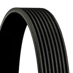 Continental Ctam 8pk1635 Curea De Transmisie Cu Canale