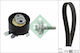 Ina Timing Gürtel Kit 530 0843 10