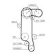 Gates Timing Belt 5565xs