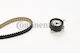 Continental Ctam Ct1211k1 Timing Belt Kit