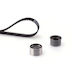 Gates Timing Gürtel Kit K015643xs