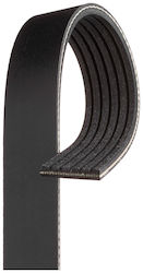 Gates Curea Transmisie Canelată 6pk913 Gates Curea Transmisie Canelată 6pk913