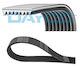 Dayco Ribbed Transmission Belt 8pk1202hd