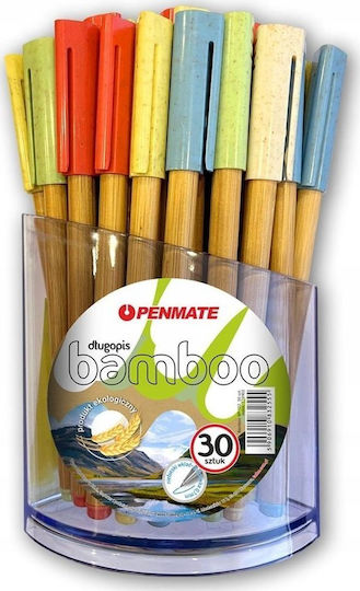 Teka Pixuri Ballpoint 30 Bucăți
