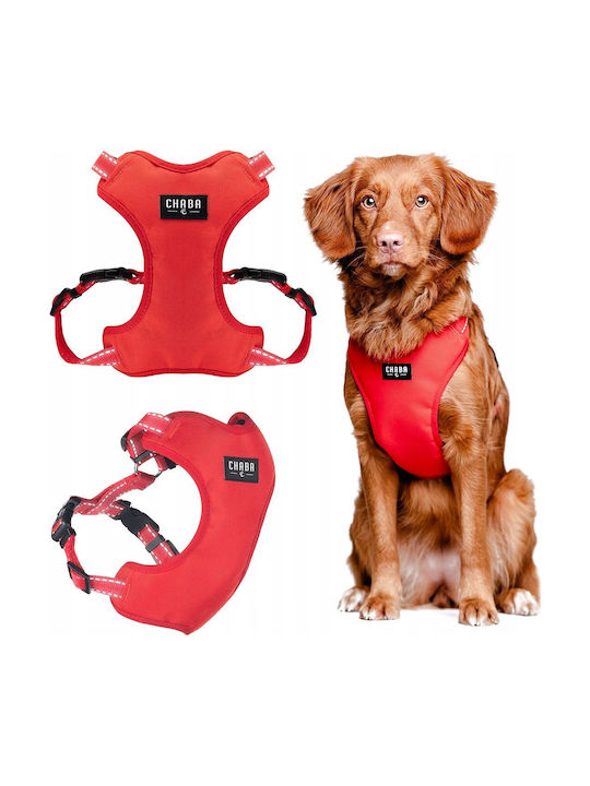 Chaba Chaba Hamuri Pentru Câini Guard Comfort Classic S Roșu