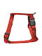 Zolux Dog Harness Cushion Strap 25mm Red