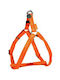 Verstellbares Hundegeschirr Mac Leder 20 Mm Orange Zolux
