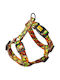 Dingo Guard City Dubai Hundegeschirre M Mittel 3.0 X 38-70cm