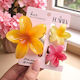 3-in-1 Hair Clip Set XL Ombre Flower + 2 Mini Hair Clips SP417