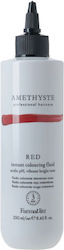 Canni Amethyste Red Canni Amethyste Red