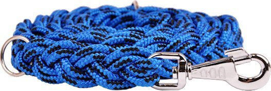 Dino Dog Leash/Lead Strap in Blue color