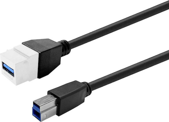Vivolink Keystone White USB 3.0 A-Female to B-Male Prokeyusb3afbm1w
