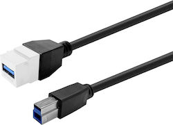 Keystone White Usb 3.0 A-female To Usb 3.0 B-male Keystone White Usb 3.0 A-female To Usb 3.0 B-male