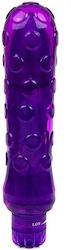 Libid Toys Vibrator Purple