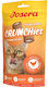 Crunchies Chicken 60g